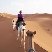 Auf Kamelen durch die Wüste Marokkos