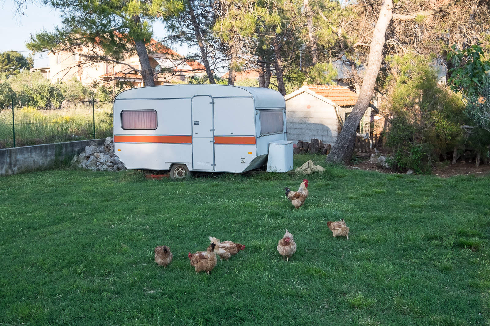 Camping mit Hühnern